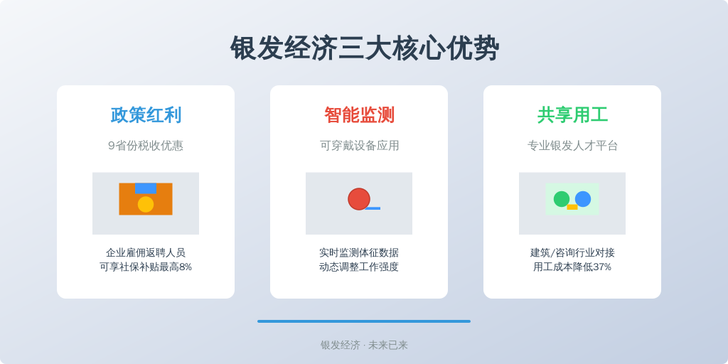 ['银发经济政策红利', '智能监测技术应用', '共享用工平台兴起']